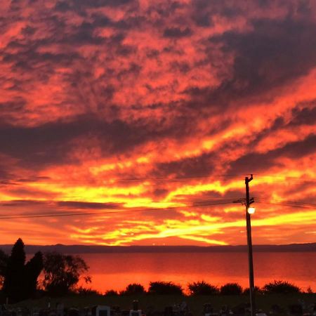 Windsor Lodge & Caravan Park Waitahanui 外观 照片